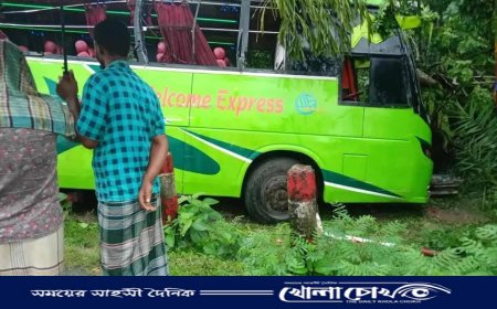 ঝালকাঠির রাজাপুরে মুখোমুখি হওয়ার পর নিয়ন্ত্রণ হারিয়ে খাদে দুই বাস