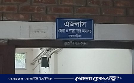 ব্রাহ্মণবাড়িয়ায় মাদক মামলায় স্বামী-স্ত্রীর ১০ বছরের কারাদণ্ড
