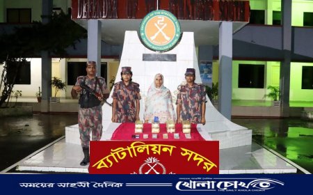 ৮১ হাজার ইয়াবা ও নগদ টাকাসহ নারী আটক