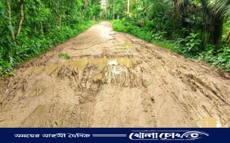 আগৈলঝাড়ায় কোটি টাকা ব্যয়ে নির্মিত সড়ক এখন দুর্ভোগের নাম