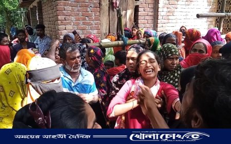 শালিখায় স্বামীর শাবলের আঘাতে স্ত্রী নিহত