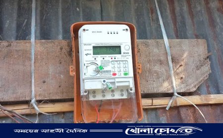 বাগমারায় পল্লী বিদ্যুৎ মিটার চুরিতে আতঙ্ক, চোরদের হুমকি ও মুক্তিপণ দাবি