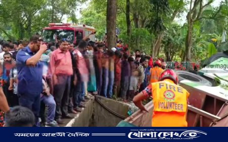 মাগুরায় ভ্যানকে ধাক্কা দিয়ে বাস খাদে