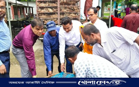 আলফাডাঙ্গায় চরাঞ্চলের অসহায় ১০০ পরিবারে খাকি ক্যাম্পবেল হাঁস বিতরণ