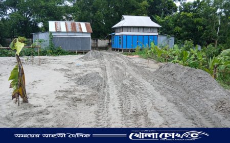 শ্রীনগরে প্রবাসীর লীজ সম্পত্তি বালি ভরাট করে বিক্রির অভিযোগ