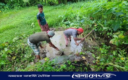 সাভার-রূপগঞ্জে মোবাইল কোর্টের অভিযানে অবৈধ গ্যাস সংযোগ বিচ্ছিন্ন ও অর্থদণ্ড