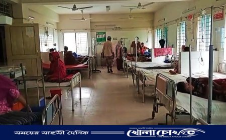 কাপ্তাইয়ে ম্যালেরিয়ার চোখ রাঙ্গানি — আক্রান্ত শতাধিক