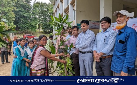 প্রাকৃতিক পরিবেশ সুরক্ষায় থানচিতে ফলজ ও বনজ চারা বিতরণ