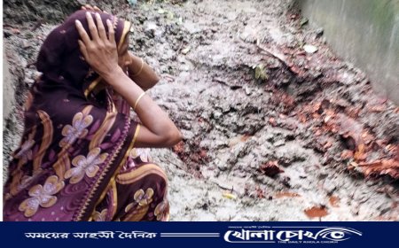 সদরপুরে বিধবার বসতভিটার ১০ গাছ কেটে নিল দেবর