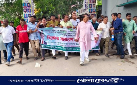 আলফাডাঙ্গায় বিএনপির বিক্ষোভ মিছিল ও সমাবেশ