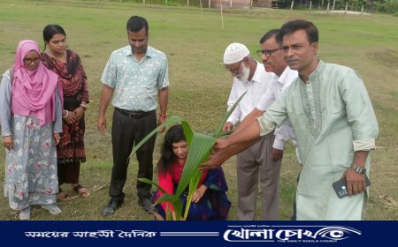 মহম্মদপুরে পরিবেশ রক্ষায় বৃক্ষরোপণ কার্যক্রম উদ্বোধন করলেন ইউএনও