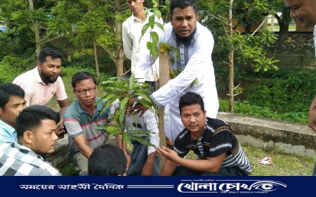 জিয়াউর রহমানের নামে থানচিতে কৃষক দলের বৃক্ষরোপণ