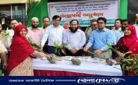 রাজশাহীর পবায় কৃষকদের মাঝে বিনামূল্যে বীজ, সার ও চারা বিতরণ