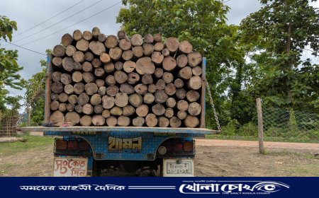 থানচিতে তিন রেঞ্জের নিয়ন্ত্রণ সদর থেকে, ব্যবসায়ীদের ‘ম্যানেজে’ চলছে কাঠ পরিবহন