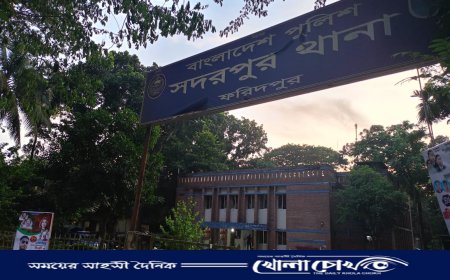 ফরিদপুরের সদরপুরে ইজিবাইকের চাপায় ৮ বছরের শিশুর মৃত্যু