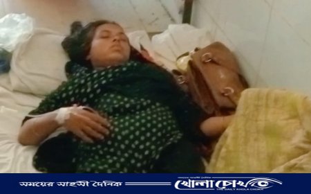 ফরিদপুরের ভাঙ্গায় জমি সংক্রান্ত বিরোধে দুই নারী আহত