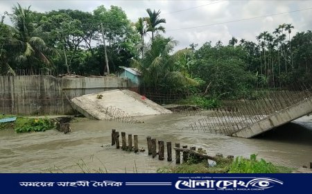 নির্মাণ কাজে অনিয়মের অভিযোগে ভেঙে ফেলা হলো সেতু