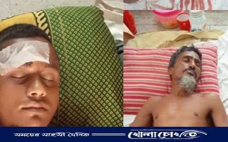 ইন্দুরকানীতে জমি বিরোধে হামলা, নারীসহ আহত ৪