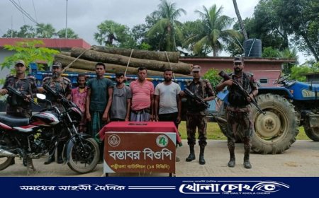 ধামইরহাট সীমান্তে বিজিবির সাঁড়াশি অভিযান: ট্রাক্টরভর্তি কাঠসহ ৫ চোরাকারবারি আটক