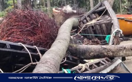 ঢেউয়ের আঘাতে বিলীন হচ্ছে সেন্টমার্টিন: খাদ্য সরবরাহ ও নৌ যাতায়াত বন্ধ