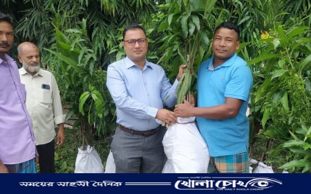 মাটিরাঙ্গায় জলবায়ু ও পরিবেশ উন্নয়নে ফলের চারা বিতরণ