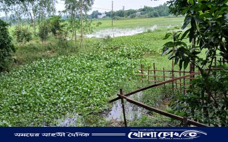 শ্রীনগরে দিনে-দুপুরে জমি দখলের চেষ্টা, বাধা দেওয়ায় প্রাণনাশের হুমকি