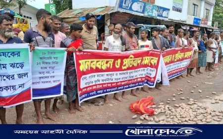 আলুর ন্যায্য মূল্য নির্ধারণের দাবিতে নওগাঁয় আলু চাষিদের মানববন্ধন
