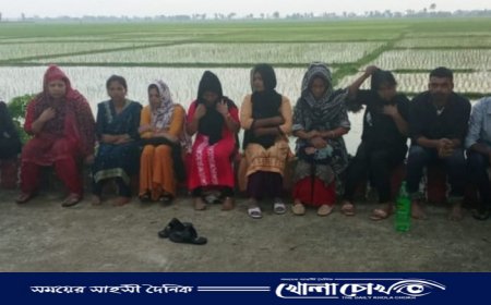 নওগাঁ সীমান্ত দিয়ে পুশইন করল বিএসএফ