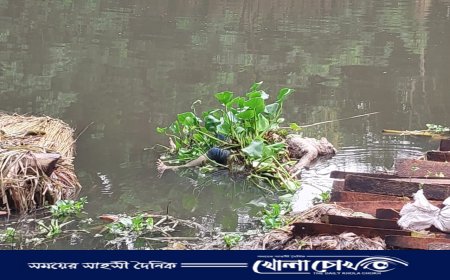 ফরিদপুরের সালথার খালে অজ্ঞাত যুবকের অর্ধগলিত লাশ উদ্ধার