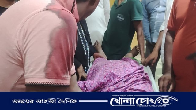 নোয়াখালীতে আওয়ামী লীগ নেতার মাকে কুপিয়ে স্বর্ণালংকার লুট