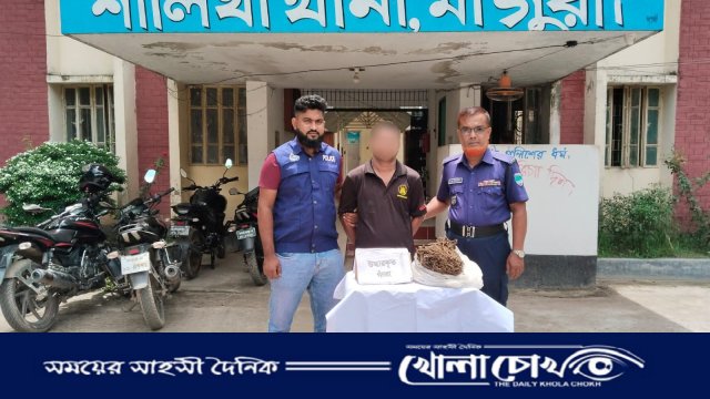 মাগুরার শালিখায় পুলিশের অভিযানে ৫০০ গ্রাম গাঁজা উদ্ধার