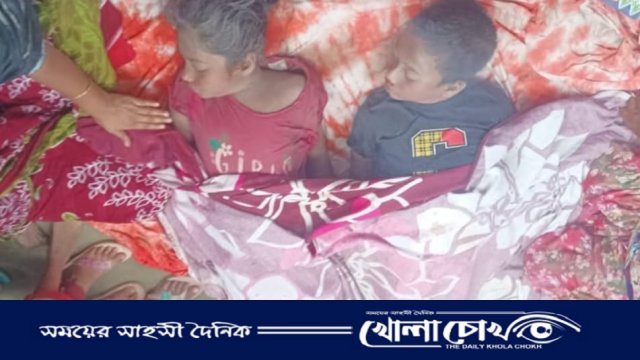 ব্রাহ্মণবাড়িয়ায় শাপলা তুলতে গিয়ে ডোবায় পড়ে ভাই-বোনের মর্মান্তিক মৃত্যু