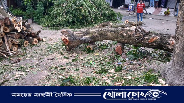 শ্রীনগরে বিরোধপূর্ণ জমির গাছ কেটে নেওয়ার অভিযোগ, হুমকির শিকার নারী