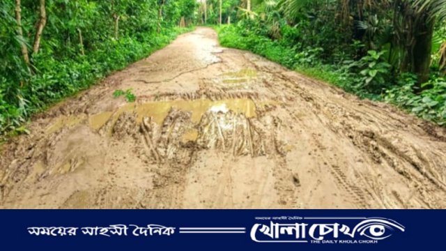 আগৈলঝাড়ায় কোটি টাকা ব্যয়ে নির্মিত সড়ক এখন দুর্ভোগের নাম