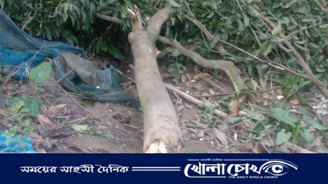 আত্রাইয়ে জমির গাছ কাটাকে কেন্দ্র করে উত্তেজনা, থানায় অভিযোগ দায়ের