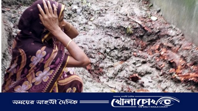 সদরপুরে বিধবার বসতভিটার ১০ গাছ কেটে নিল দেবর