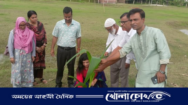 মহম্মদপুরে পরিবেশ রক্ষায় বৃক্ষরোপণ কার্যক্রম উদ্বোধন করলেন ইউএনও
