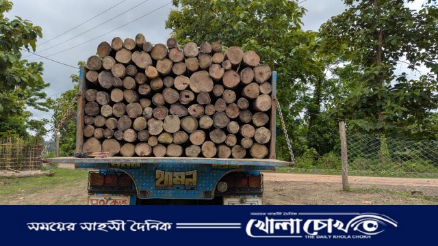 থানচিতে তিন রেঞ্জের নিয়ন্ত্রণ সদর থেকে, ব্যবসায়ীদের ‘ম্যানেজে’ চলছে কাঠ পরিবহন