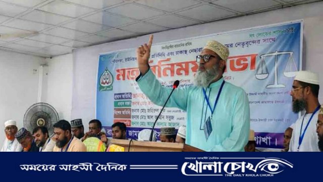 আমাকে জনপ্রতিনিধি নির্বাচিত করলে নেছারাবাদকে একটি মডেল উপজেলা হিসেবে গড়ে তুলবো - শামীম সাঈদী