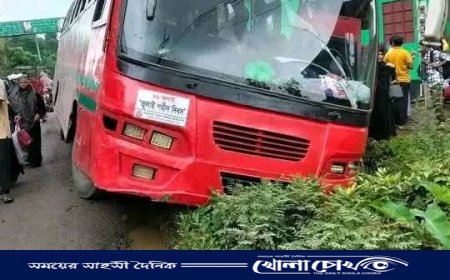 ঝালকাঠির রাজাপুরে বিআরটিসি বাস নিয়ন্ত্রণ হারিয়ে খাদে