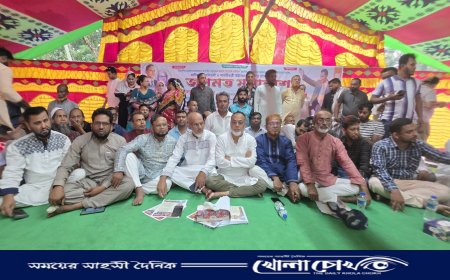 নাজিরপুরে বিএনপির ৩১ দফা বাস্তবায়নে জনমত সমাবেশ