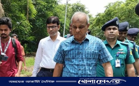 ডিএনএ টেস্টে শনাক্ত করে জুলাই শহীদদের মরদেহ নিতে পারবে পরিবার - স্বরাষ্ট্র উপদেষ্টা