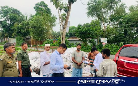 পরিবেশ দূষণের দায়ে প্লাস্টিক কারখানায় জরিমানা