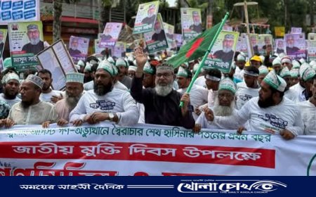 রাজাকার ব্যবসা চলবে না, জনগণ জামায়াতকে ক্ষমতায় দেখতে চায় - মাসুদ সাঈদীর