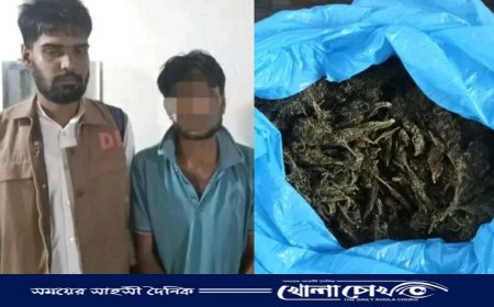 ইন্দুরকানীতে ডিবি পুলিশের বিশেষ অভিযানে গাঁজাসহ গ্রেফতার ১
