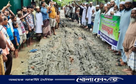 নাসিরনগরে সড়ক সংস্কারের দাবিতে মানববন্ধন ও বিক্ষোভ