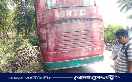 ঝালকাঠির রাজাপুরে বিআরটিসি বাস খাদে