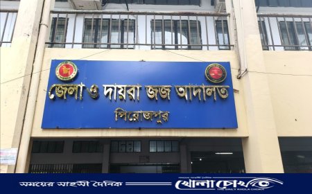 নেছারাবাদে চাঁদাবাজি মামলায় ছাত্রদল নেতা-সদস্যসহ ৩ জন কারাগারে