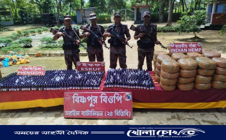 বিজয়নগরে ২৫ বিজিবির বিশেষ অভিযানে কোটি টাকার মাদকদ্রব্য উদ্ধার