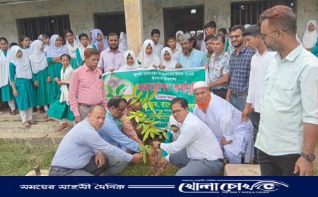 আখাউড়ায় জুলাই শহীদ স্মরণে কৃষি ব্যাংকের বৃক্ষরোপণ কর্মসূচি